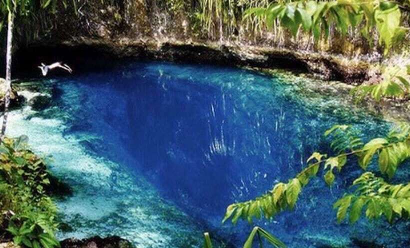 酒店 Avisha Suites