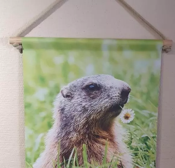 Hotelli Hôtel Les Deux Cols