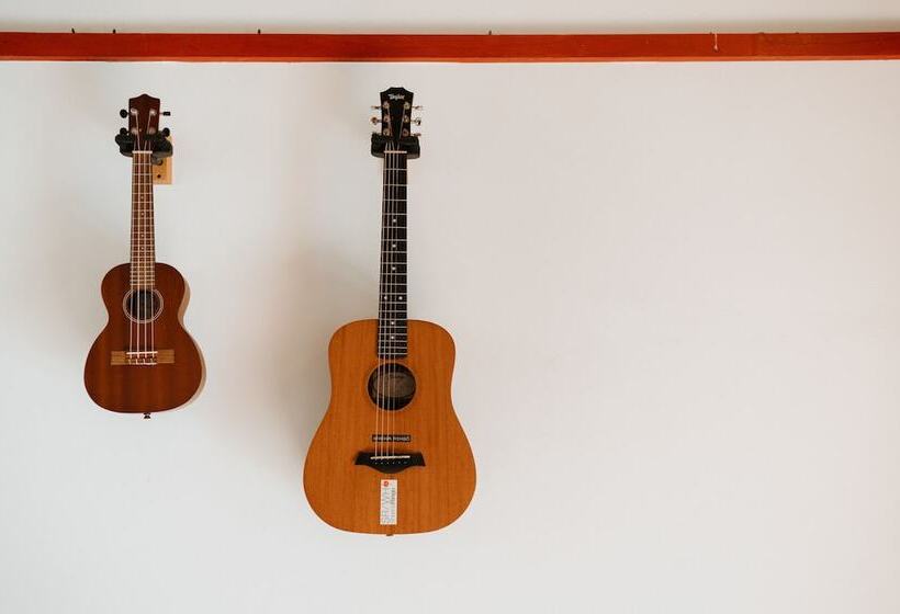 هتل Live Guesthouse