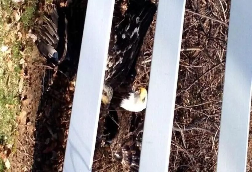 Hotelli Allegan Country Inn