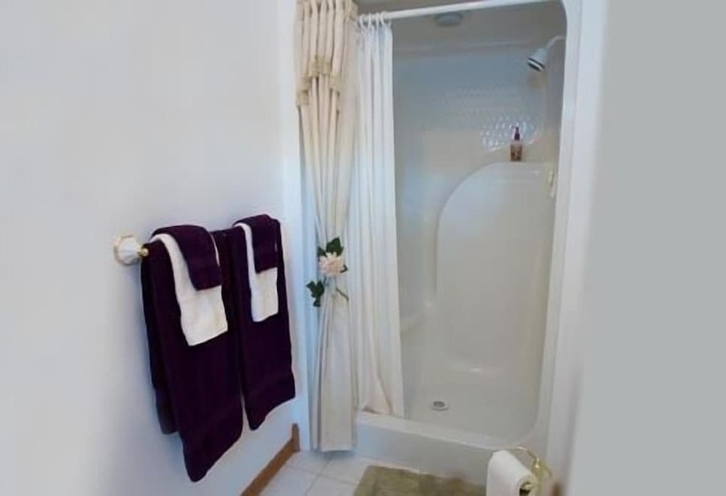 호텔 Allegan Country Inn