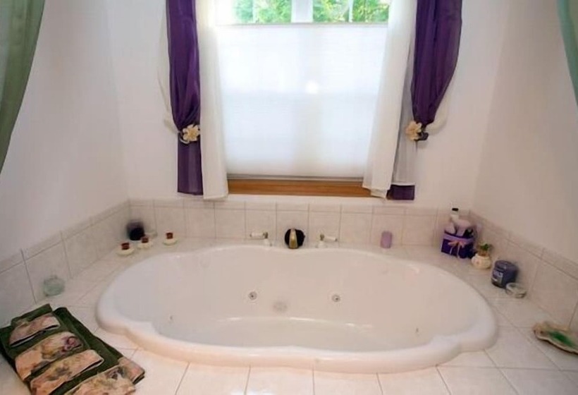 호텔 Allegan Country Inn