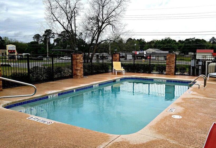 Отель Cochran Inn & Suites