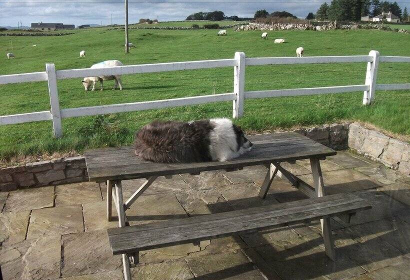 Отель Hillcrest B&b