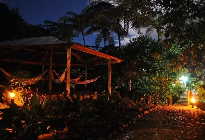 Hotelli Playa Selva Lodge