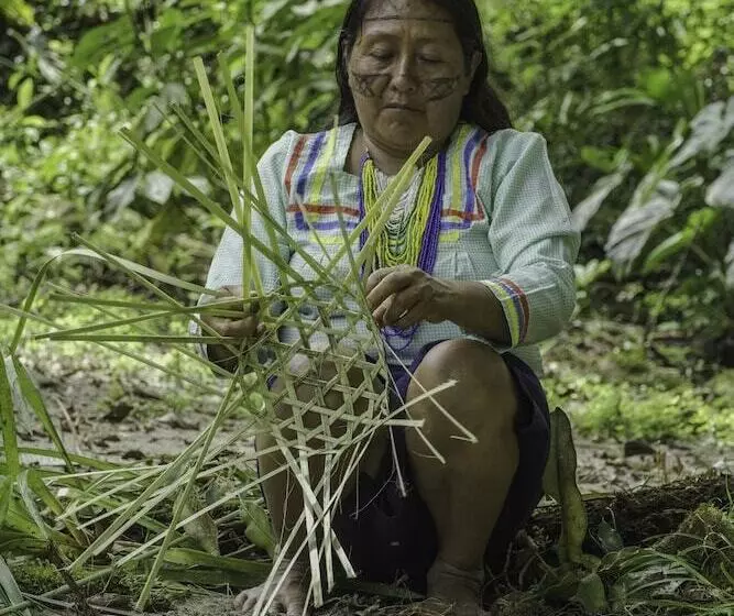 Hotelli Playa Selva Lodge