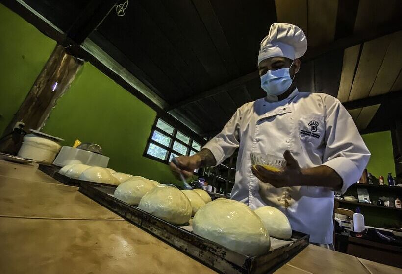 Hotel Playa Selva Lodge