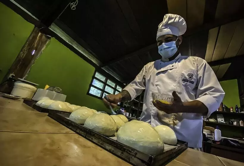 Hotelli Playa Selva Lodge