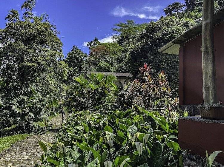 Hotel Playa Selva Lodge