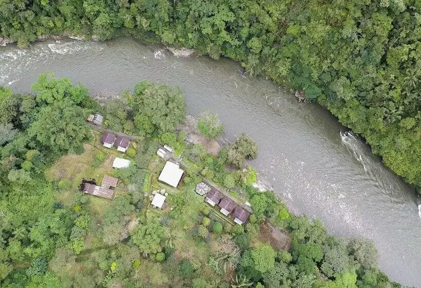 Hotelli Playa Selva Lodge