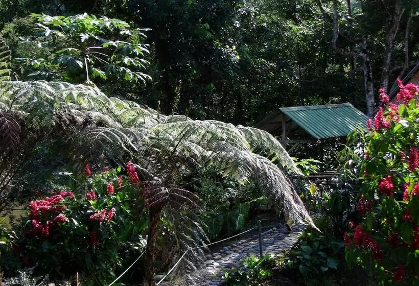 Hotelli Playa Selva Lodge