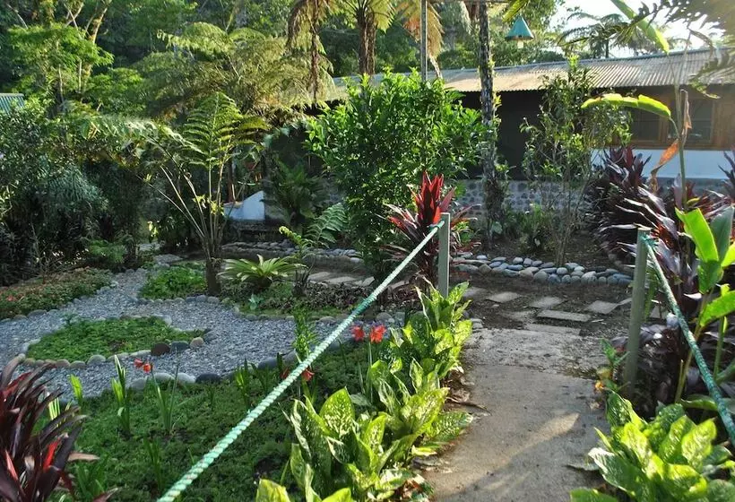 Hotelli Playa Selva Lodge