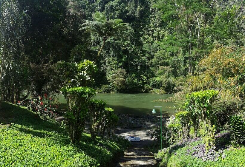 Hotel Playa Selva Lodge