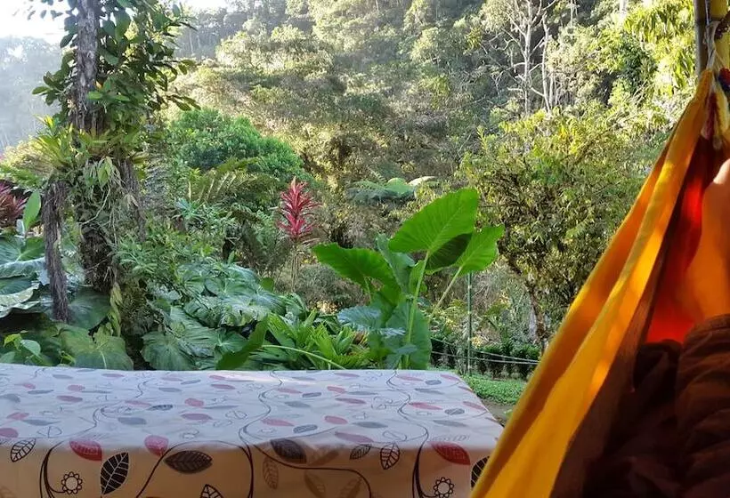 Hotelli Playa Selva Lodge