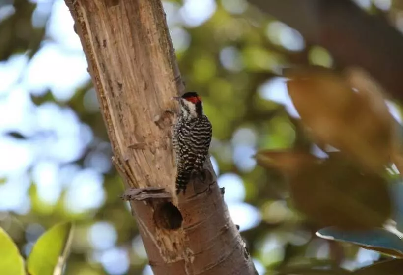 Hotelli Posada Del Parque Lodge