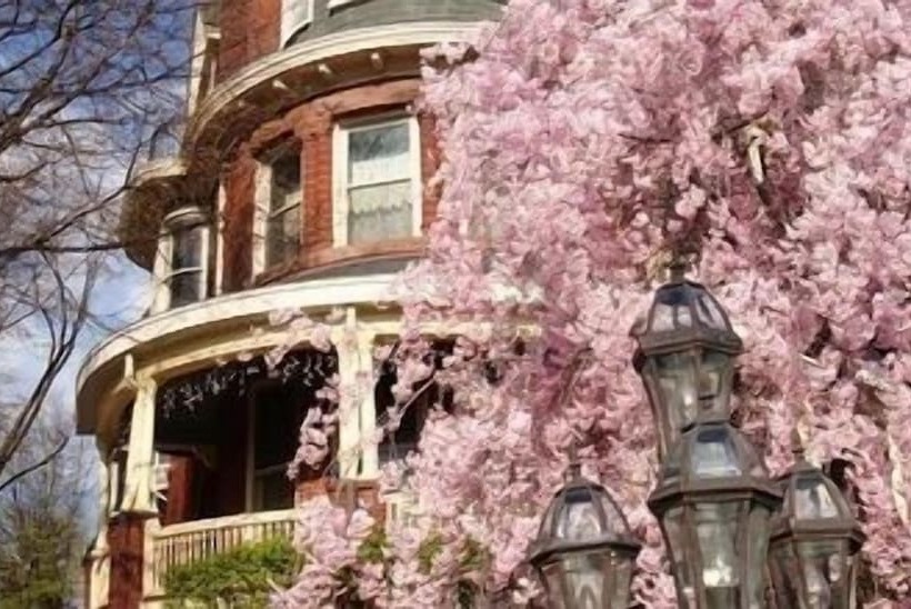 هتل Wilson House Bed & Breakfast