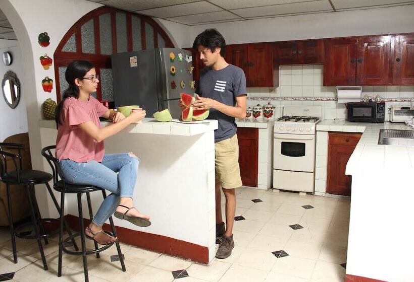 فندق El Callejon Guest House