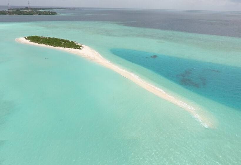 هتل Palm Residence