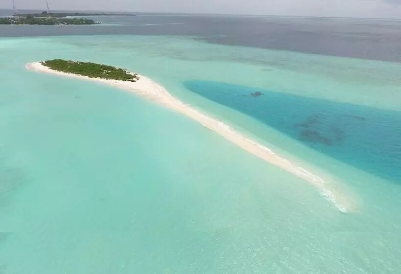 هتل Palm Residence