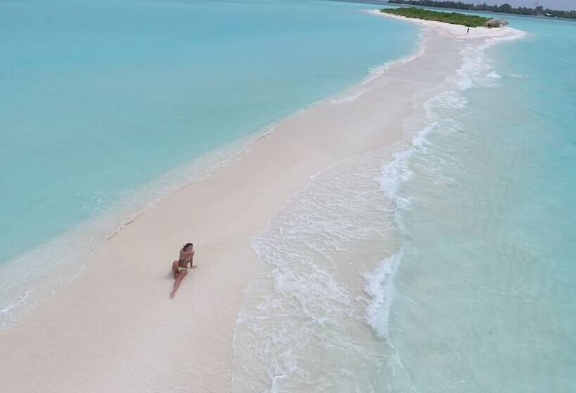 هتل Palm Residence