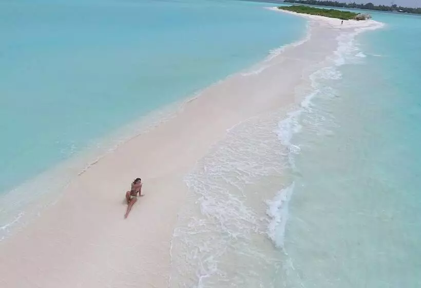 هتل Palm Residence