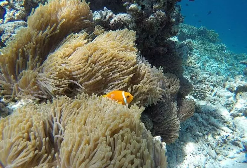 هتل Palm Residence