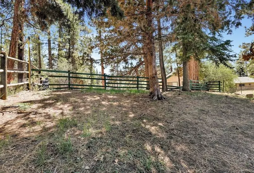 Hotelli Three Bears Cabin #1574