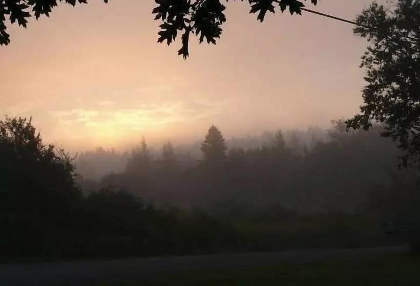 ホテル Florentine Manor