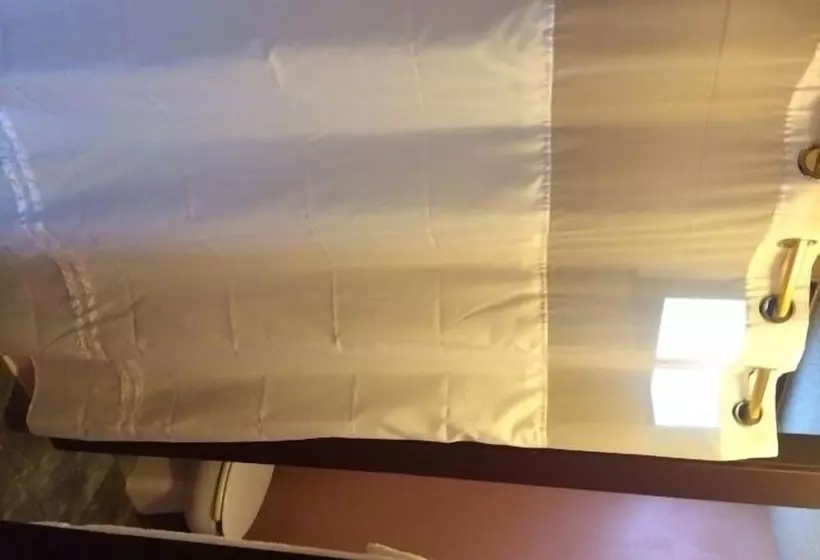 ホテル Pink Fountain Motor Inn