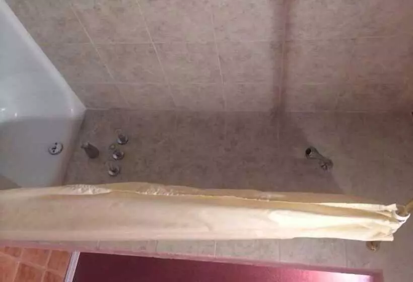 ホテル Pink Fountain Motor Inn