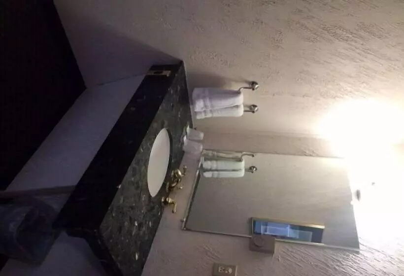 ホテル Pink Fountain Motor Inn