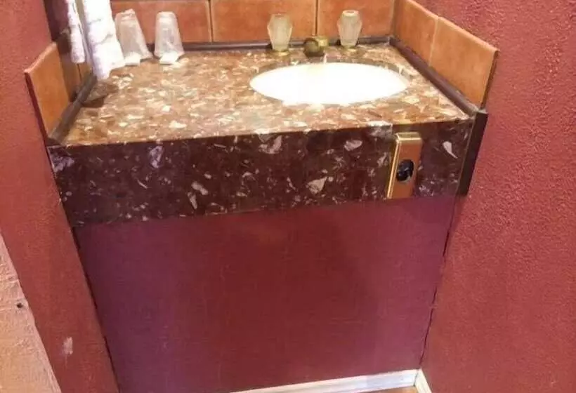 ホテル Pink Fountain Motor Inn