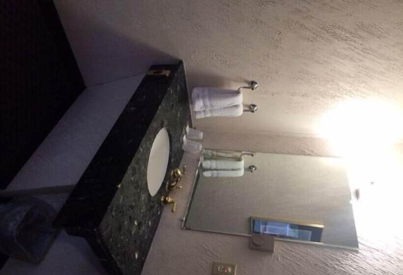 호텔 Pink Fountain Motor Inn