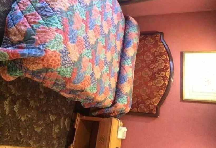 ホテル Pink Fountain Motor Inn