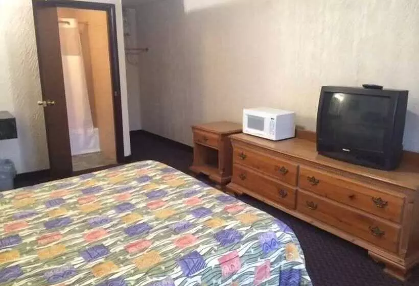 ホテル Pink Fountain Motor Inn