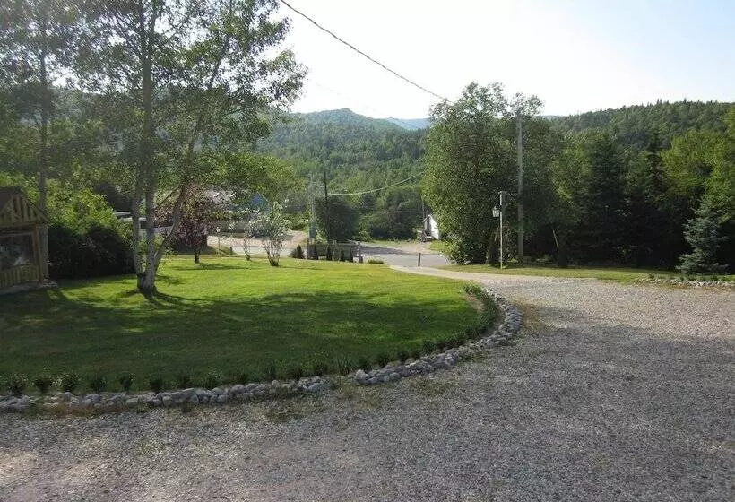 ホテル Skyline Cabins