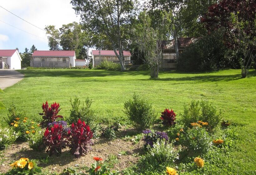 בית מלון כפרי Skyline Cabins