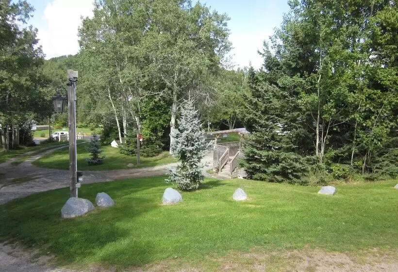 ホテル Skyline Cabins