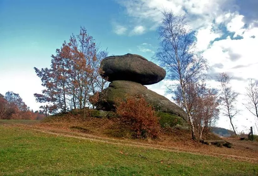 Hotelli Gasthof Und Pension Haunschmid