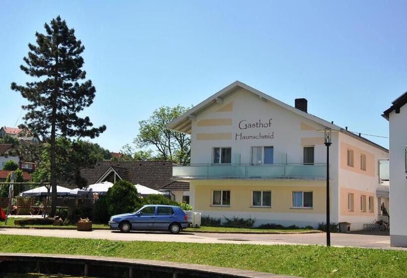 Отель Gasthof Und Pension Haunschmid