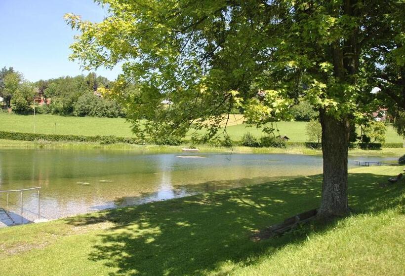 Отель Gasthof Und Pension Haunschmid