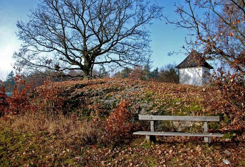 Отель Gasthof Und Pension Haunschmid