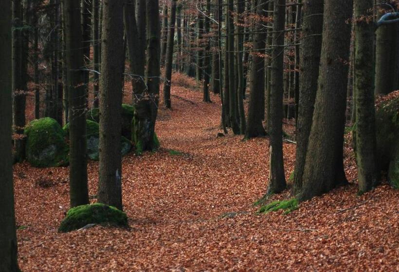 Отель Gasthof Und Pension Haunschmid