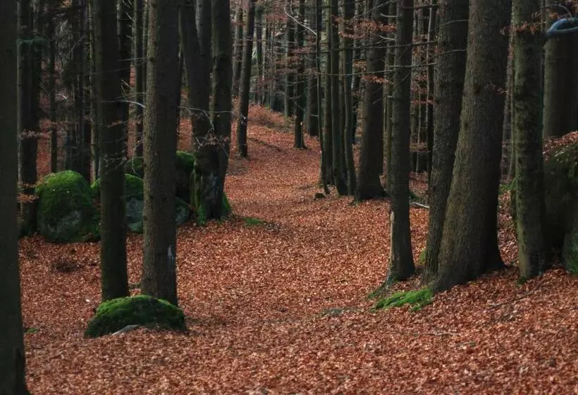 Hotelli Gasthof Und Pension Haunschmid