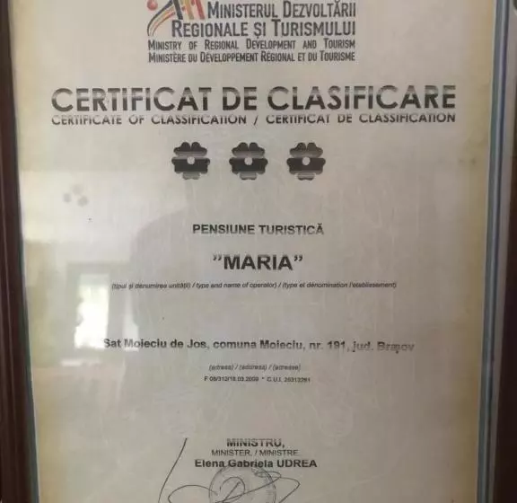 Hotelli Pensiunea Maria