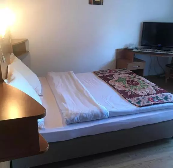 Hotelli Pensiunea Maria