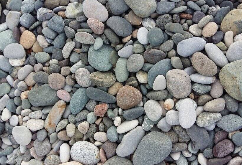 هاستل Rock Hotel First Line