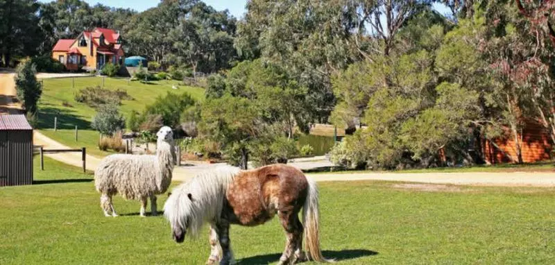 酒店 Bells Estate Great Ocean Road Cottages