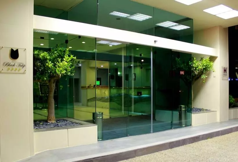 ホテル Black Tulip  Porto Gaia