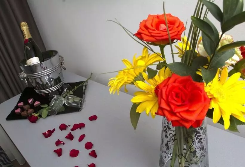 ホテル Black Tulip  Porto Gaia